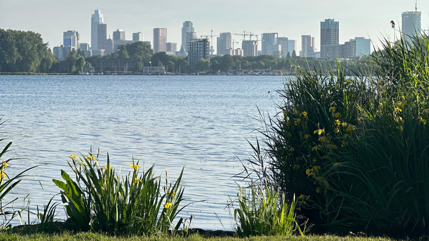 Kralingen - rotterdam - uitvaart kralingen - uitvaart rotterdam - kralingse plas - rememberme - uitvaartonderneming kralingen - uitvaart regelen rotterdam kralingen crooswijk
